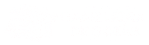 Governo de Gameleira de Goiás